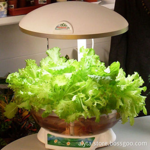 Hydroponic Innovative Popular Intelligent Automatic Planter, Planting Flowers, Stylish Home Items